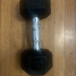 Dumb Bells (20lbs) 