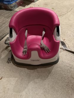 Ingenuity Booster Seat