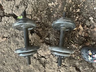 weights