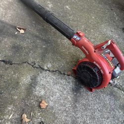Blower Home lite Good Condition 