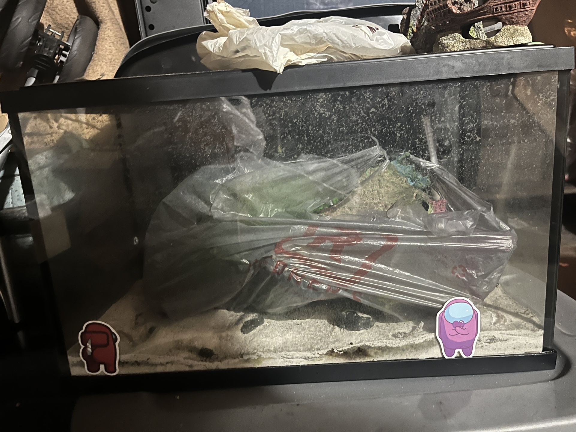 10 Gallon startup tank