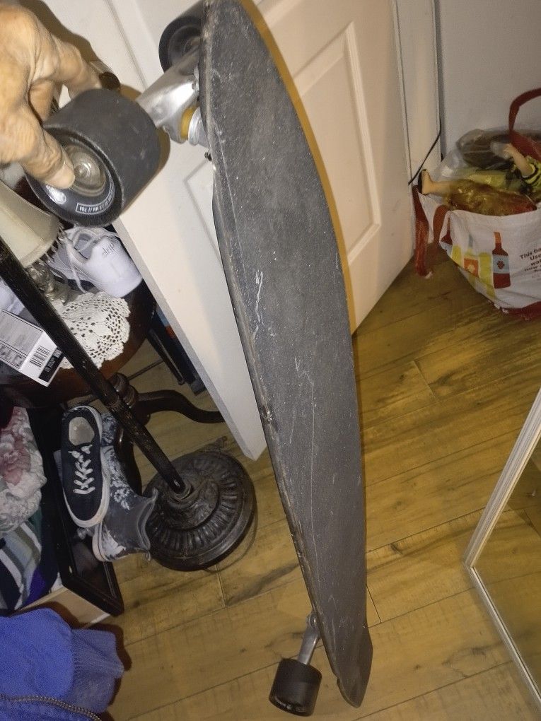 Long Board Skate Board