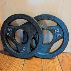 2.5 Lb Metal Weight Plates