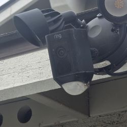 Ring Cameras 