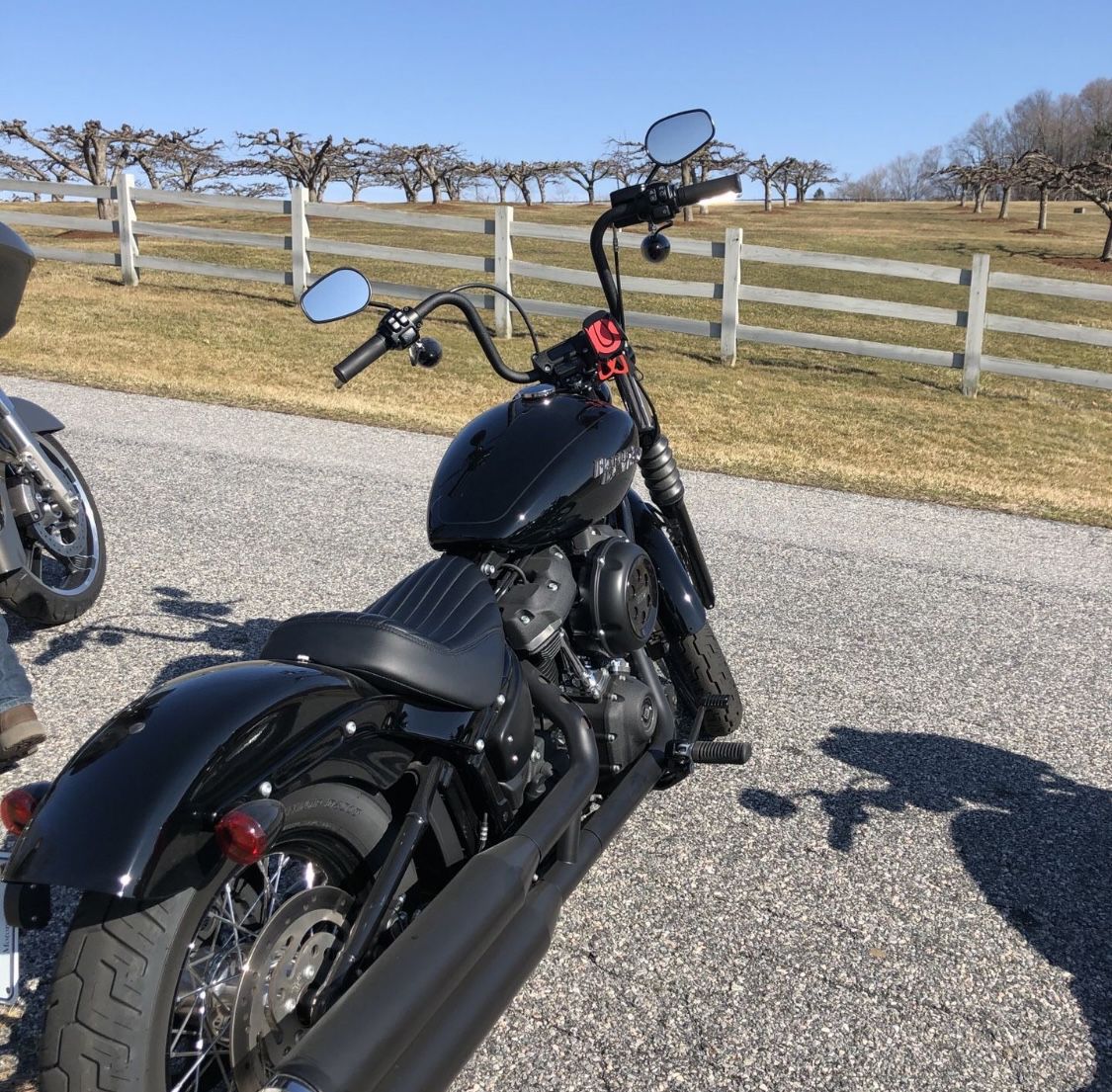 2019 Harley-Davidson FXBB Street Bob
