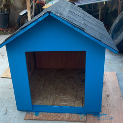 Dog house