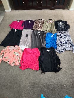 Lot Of 13 Womens Clothing Large