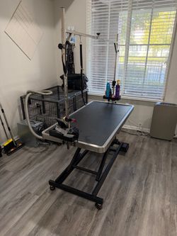 Electric Hydraulic Dog Grooming Table with Arm (3 available)