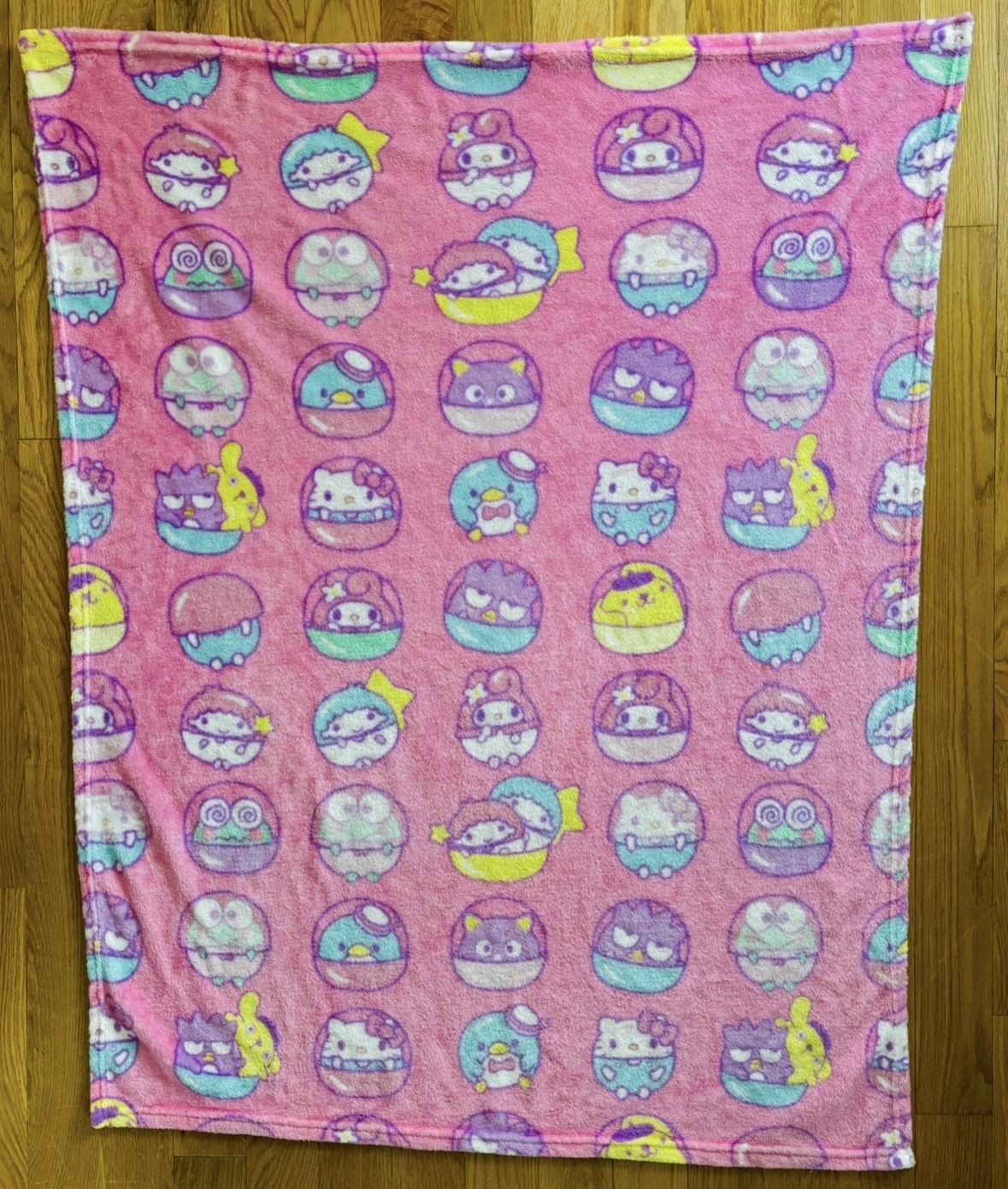 Sanrio Hello Kitty & Friends Silk Touch Throw Blanket 40in × 50in - NWOT