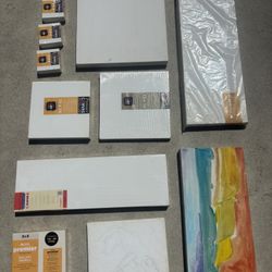 Artist Canvases (12)