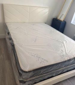 Queen Size Bed Frame With MATTRESS Free BoxSpring Set 