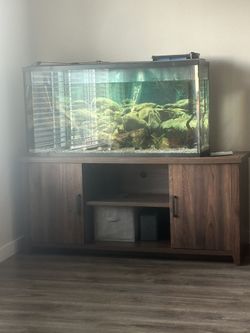 55g Fish Tank