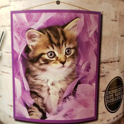 Plush Kitten Throw Blanket 