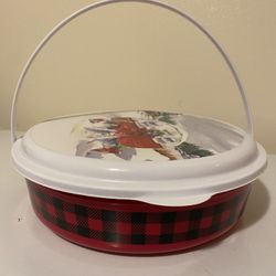 Plastic  Container .