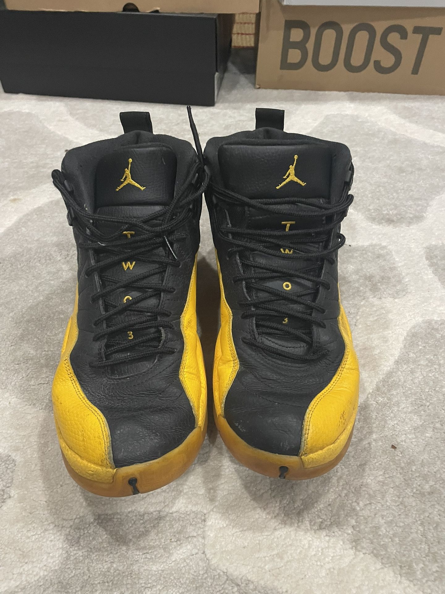 Jordan 12