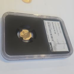 Gold coins 2024 American Eagle  & 2026 Nieu Gold