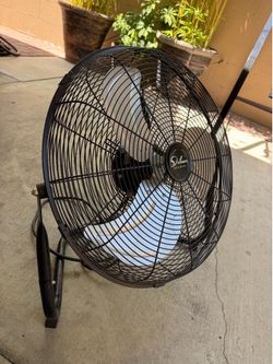 Fan