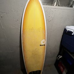 Torq Surfboard