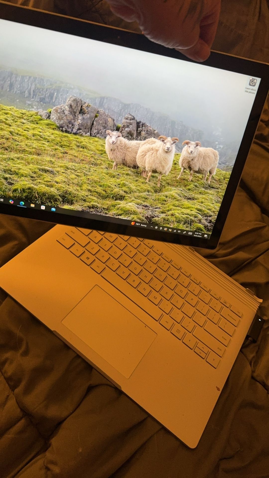 Windows Surface Pro
