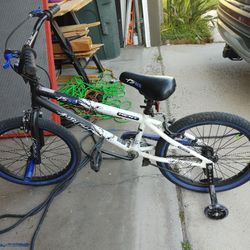 Kent Ambush BMX Bike - New Slime Innertubes!