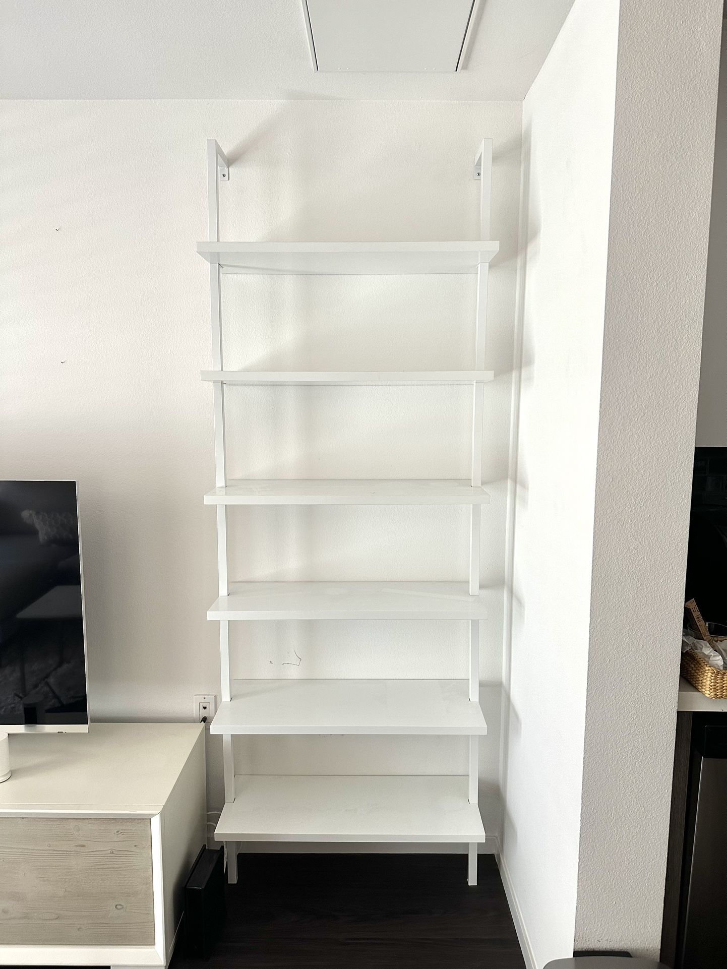 Wall ladder Shelf