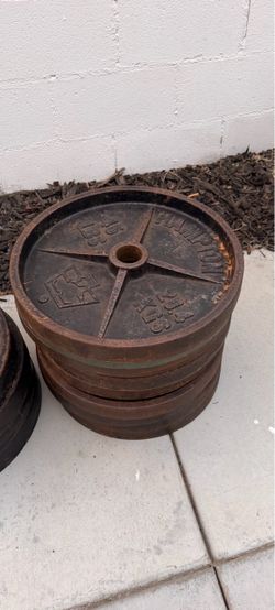 45lbs  Cast Iron Weight Plates