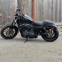 2013 Harley Davidson Iron 883