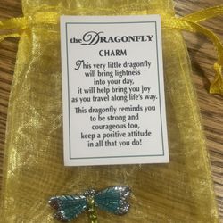 DRAGONFLY POCKET CHARM-token mini figurine-Ganz-joy be strong courage-