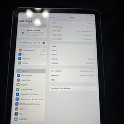 iPad 10th Gen 256gb 