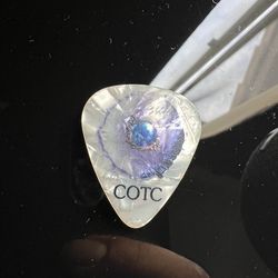 Guitar pick from chuck panozzo