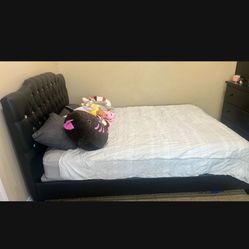 Queen Bed Frame 