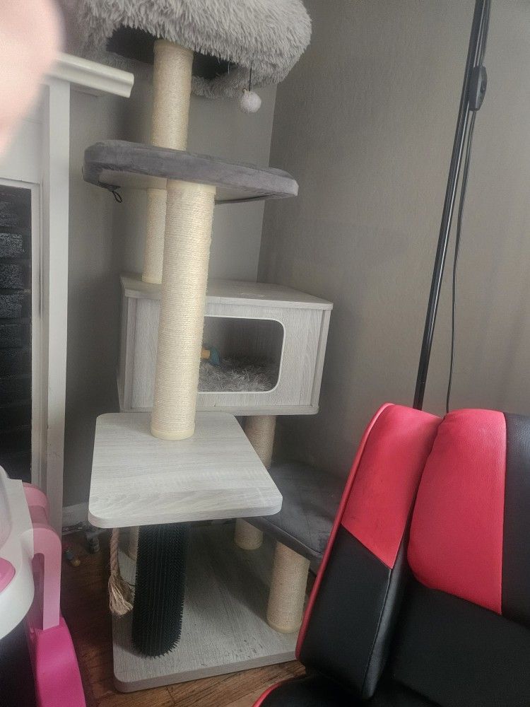 Cat House