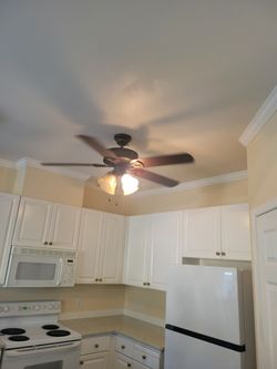 Free Light Fixture with fan