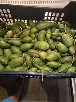 Mango verde $10 por libra