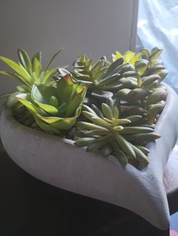 Heart Shaped Indoor W/Artificial Succulents