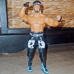 Hollywood Hulk Hogan