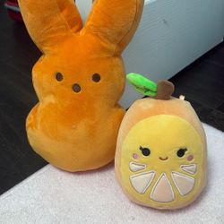Orange Plushy