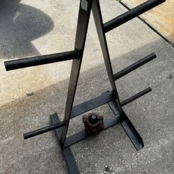 Olympic and Standard Weight Rack 