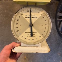 American Family Scale