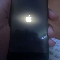 iPhone 7