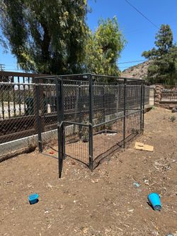 Retriever Dog Kennel