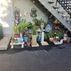  ☘️🌵  🌸🌹 🌴🌴 Plant Sale Starts Today Trough The Weekend !!!!