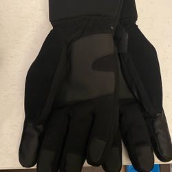 Winter Gloves Worth $50