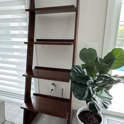 Ladder Shelf 