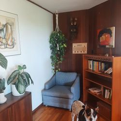 Vintage Lounge Chair