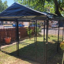10x10 costco dog kennel