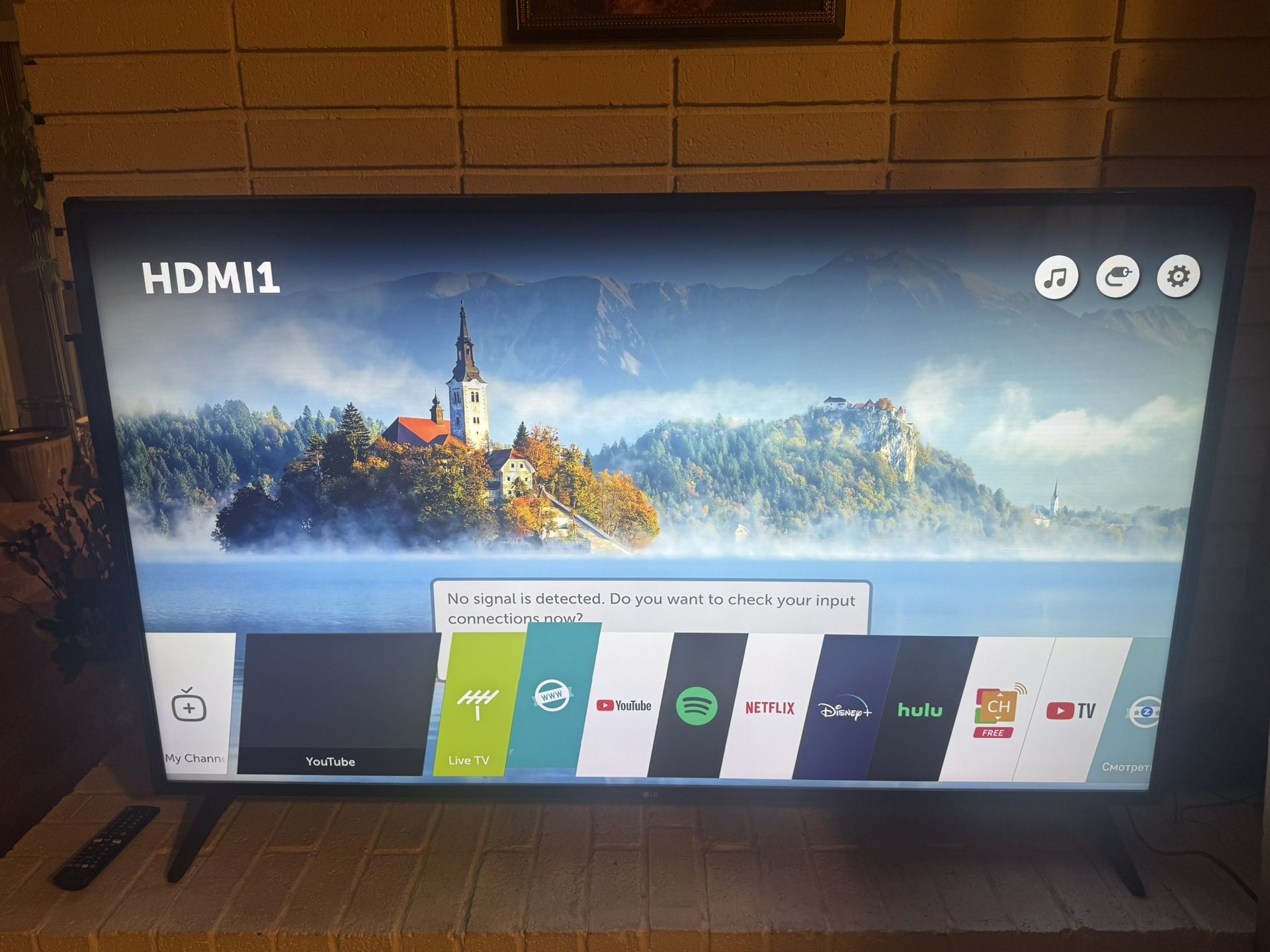LG 60” TV