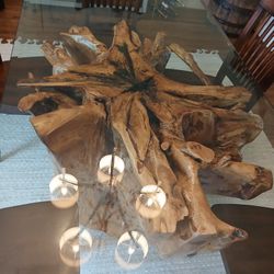 Roots  Stump   Bases