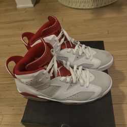 Jordan Alternante 6s 
