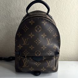 Louis Vuitton Palm Springs Mini Backpack 